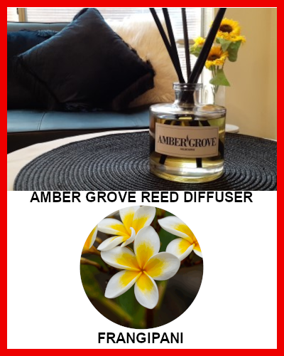 Gifts Actually - Amber Grove - Reed Diffuser - Frangipani