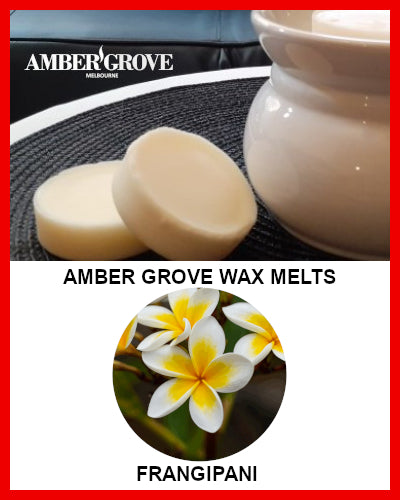 Gifts Actually - Amber Grove Scented Soy Wax Melts - Frangipani