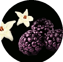 AMBER GROVE - Black Raspberry and Vanilla