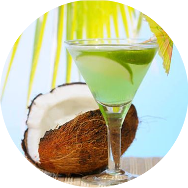 AMBER GROVE - Coconut Lime Fragrance