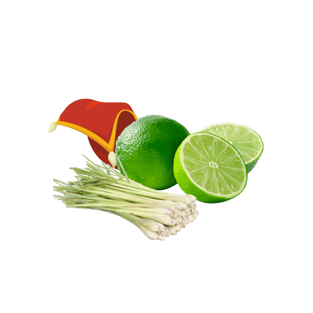 AMBER GROVE - Persian Lime and Lemongrass Fragrance