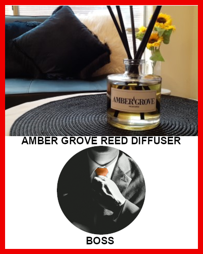 Gifts Actually - Amber Grove Reed Diffuser - BOSS