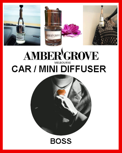Gifts actually - Amber Grove Mini Car Diffuser - BOSS Fragrance