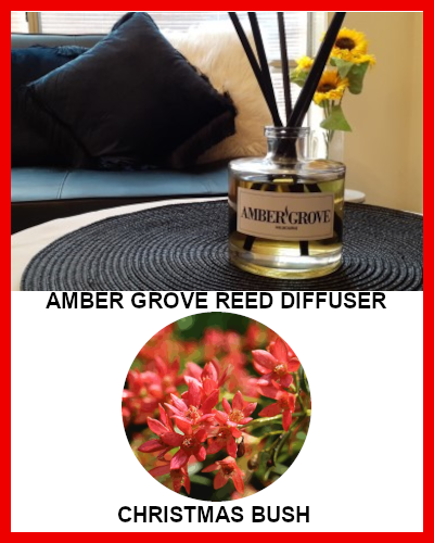 Gifts Actually - Amber Grove Reed Diffuser - Christmas Bush