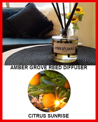 Gifts Actually-Amber Grove - Reed Diffuser - Citrus Sunrise fragrance