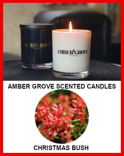 Gifts Actually - Amber Grove Soy Wax Candle - Christmas Bush