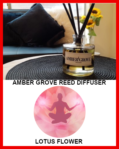 Gifts Actually - Amber Grove Reed Diffuser - Lotus Flower Fragrance