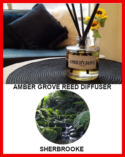 Gifts Actually - Amber Grove Reed Diffuser - Sherbrooke Forest Fragrance