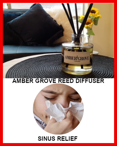 Gifts Actually - Amber Grove Reed Diffuser - Sinus Relief Fragrance