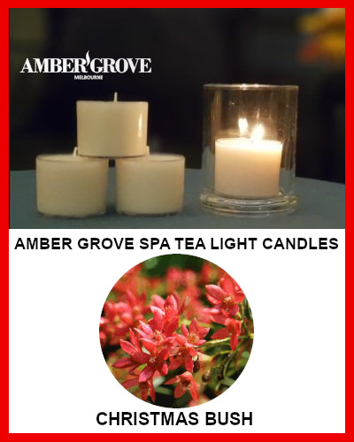 Gifts Actually - Amber Grove Scented Spa Cup Tealights - Christmas Bush