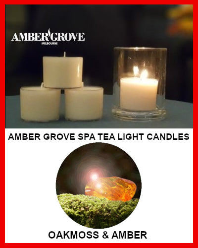 Gifts Actually - Amber Grove Scented Spa Cup Tealights - Oakmoss and Amber