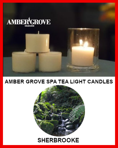 Gifts Actually - Amber Grove Scented Spa Cup Tealights - Sherbrooke (Forest)
