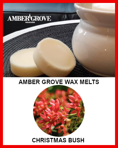 Gifts Actually - Amber Grove Scented Soy Wax Melts - Christmas Bush