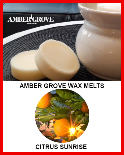 Gifts Actually - Amber Grove Scented Soy Wax Melts - Citrus Sunrise