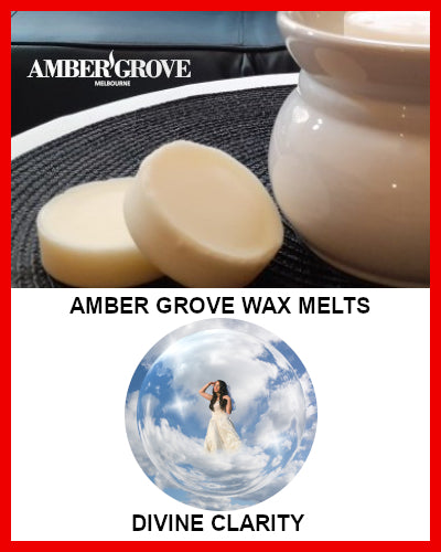 Gifts Actually - Amber Grove Scented Soy Wax Melts - Divine Clarity