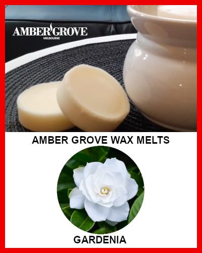 Gifts Actually - Amber Grove Scented Soy Wax Melts - Gardenia