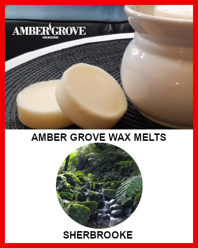 Gifts Actually - Amber Grove Scented Soy Wax Melts - Sherbrooke (Forest)