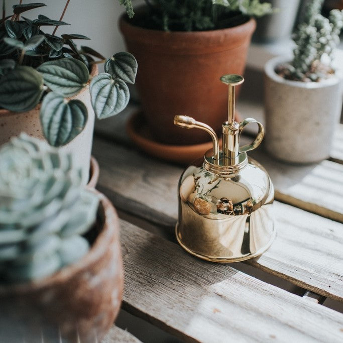 Gifts Actually - The Smethwick Spritzer - Brass Mister (Haws)