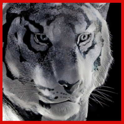 Gifts Actually - Mats Jonasson Crystal - Tiger (33378). Close-up