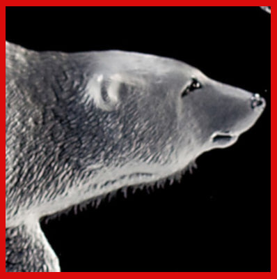 Gifts Actually - Mats Jonasson Crystal - Polar Bear (33550) - Close-up