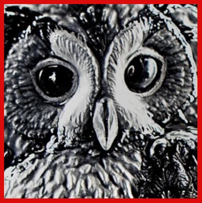 Gifts Actually - Mats Jonasson Crystal - Tawny Owl (33602) Close-up