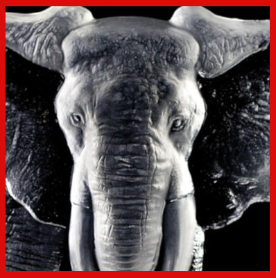 Gifts Actually-Mats Jonasson Crystal - Elephant (33631). Close-up