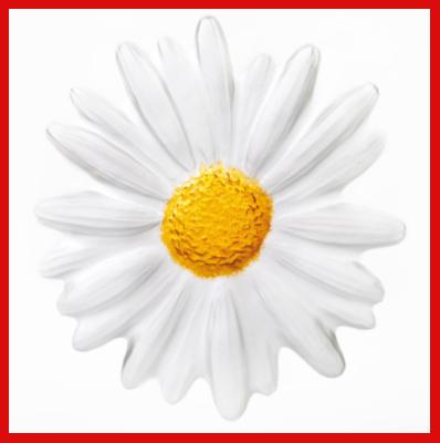 Gifts Actually - Mats Jonasson Crystal Floral Fantasy Daisy (33870) Close-up