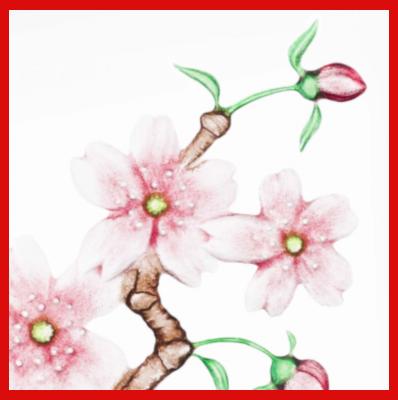Gifts Actually - Mats Jonasson Crystal - Floral Fantasy - Cherry Blossom (34102). Close-up