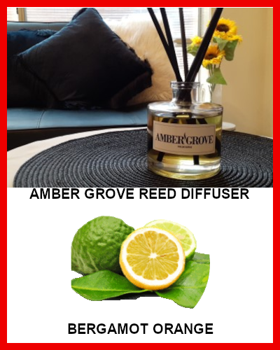 Gifts Actually - Amber Grove Reed Diffuser - Bergamot Orange Fragrance