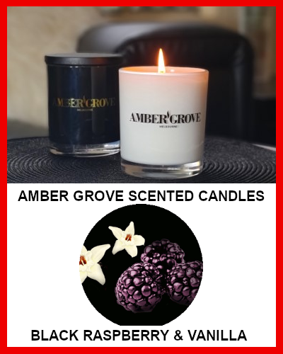 Gifts-Actually - Amber Grove Soy Wax Candle - Black Raspberry and Vanilla