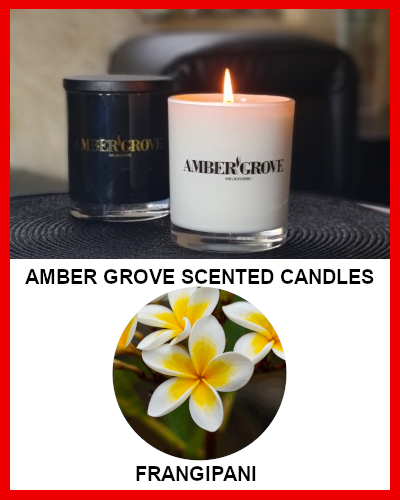 Gifts Actually - Amber Grove Soy Wax Candle - Frangipani