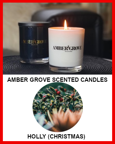 Gifts Actually - Amber Grove Soy Wax Candle - Holly