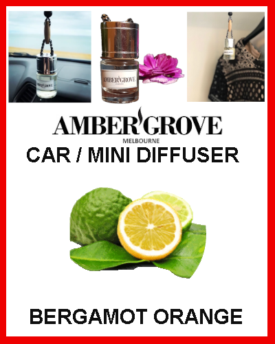 Gifts Actually - Amber Grove Mini Car Diffuser - Bergamot Orange Fragrance