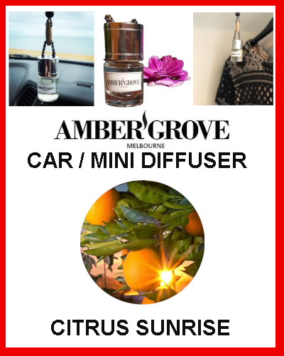 Gifts Actually - Amber Grove Mini Car Diffuser - Citrus Sunrise Fragrance