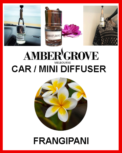 Gifts Actually - Amber Grove Mini Car Diffuser - Frangipani Fragrance