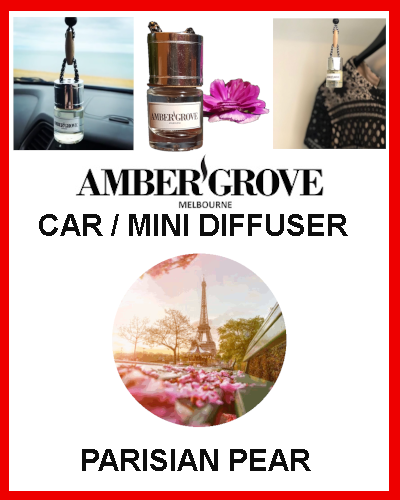 Gifts Actually - Mini Car Diffuser - Parisian Pear Fragrance - Amber Grove