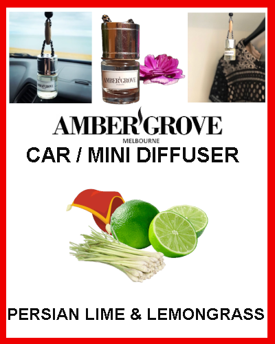 Gifts Actually - Mini Car Diffuser - Persian Lime and Lemongrass Fragrance - Amber Grove