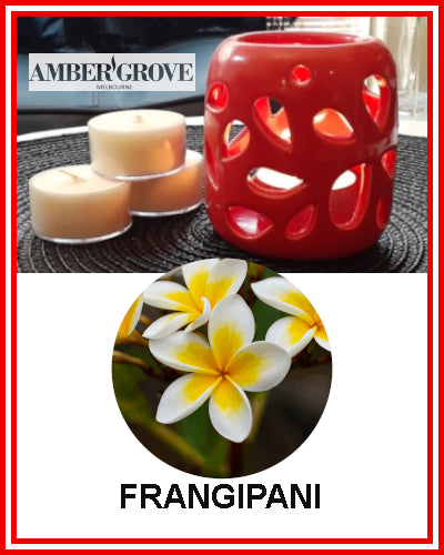 Gifts Actually - Amber Grove Scented Tealight Candle - Frangipani