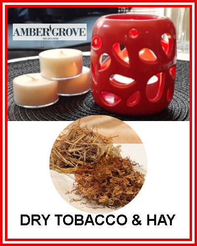 Gifts Actually - Amber Grove Scented Tealight Candle - Dry Tobacco and Hay