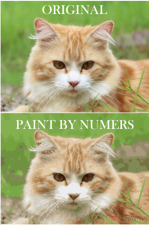 Gifts Actually - Custom / Photo Paint by numbers - Cat