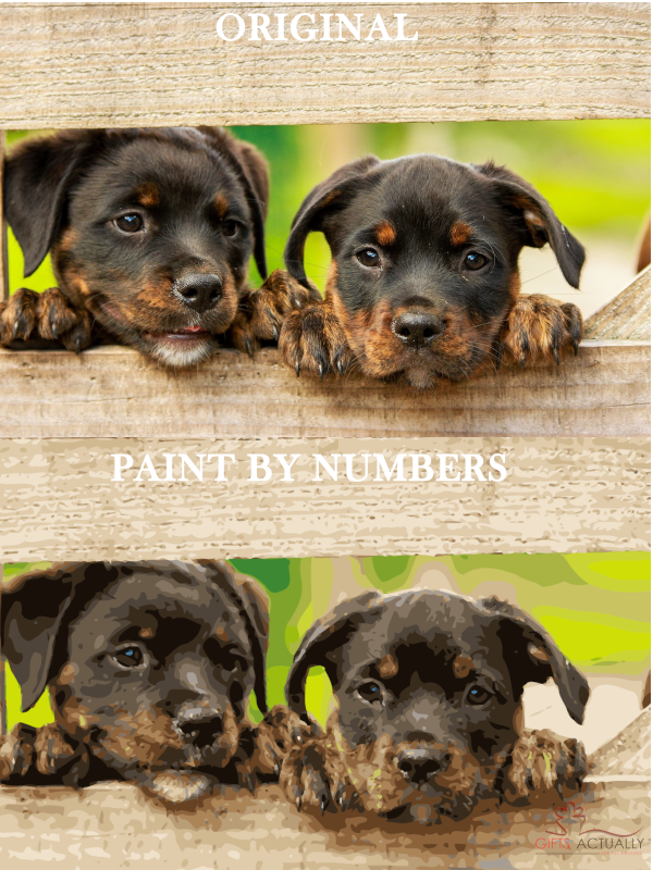 Gifts Actually - Custom / Photo Paint by numbers -  Dog